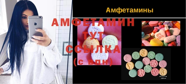 PSILOCYBIN Лагань