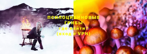 СК Ладушкин