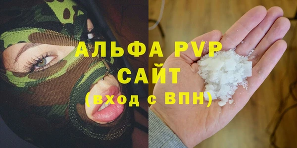 PSILOCYBIN Лагань