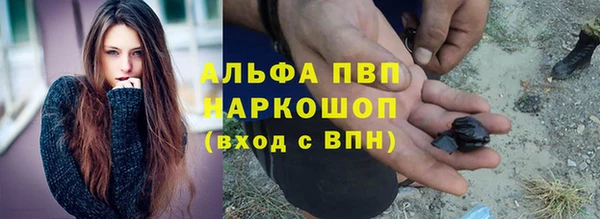 СК Ладушкин