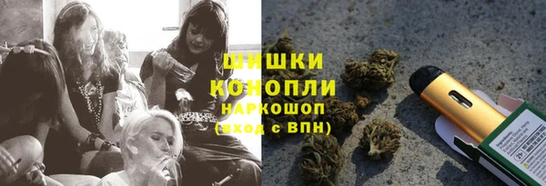 ГАЛЛЮЦИНОГЕННЫЕ ГРИБЫ Лабытнанги