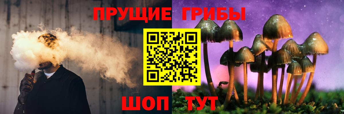 Галлюциногенные грибы Cubensis Лиски